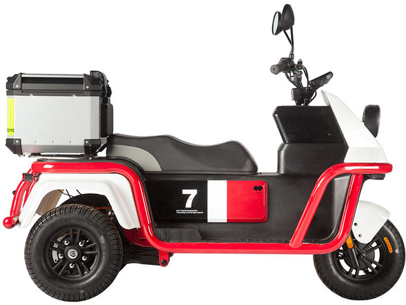 Электротрицикл Wanshida DOUHAO 60V 800W