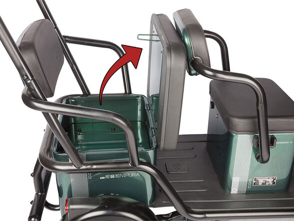 Электротрицикл Wanshida NIPLA 500 60V 1000W