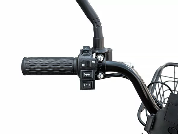 Электровелосипед Smart8 Dacha Monster