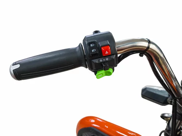 Грузовой электрический трицикл Smart8 Bizon