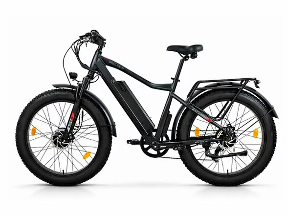 Электровелосипед Eltreco BigCat Dual Next