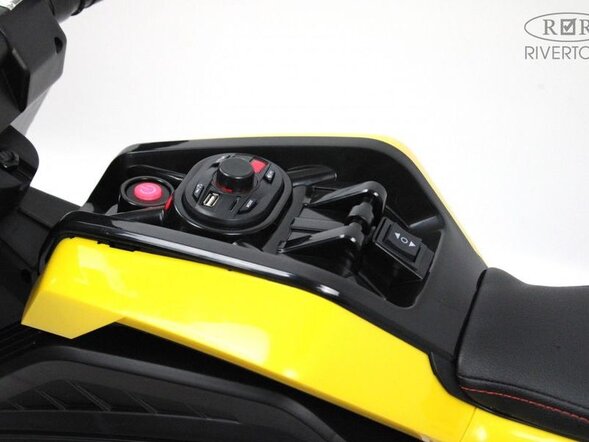 Детский электромотоцикл X111XX