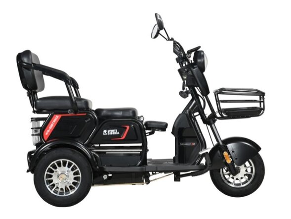 Электротрицикл White Siberia Sibtrike 2000W