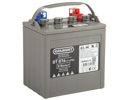 Аккумулятор тяговый WET Gelbert DT876 (8V145A/H C5) [T-875]