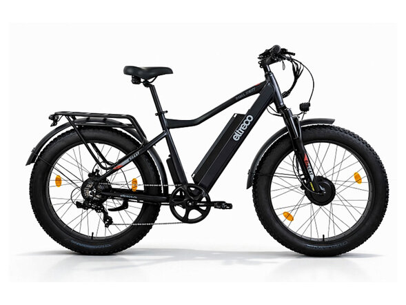 Электровелосипед Eltreco BigCat Dual Next