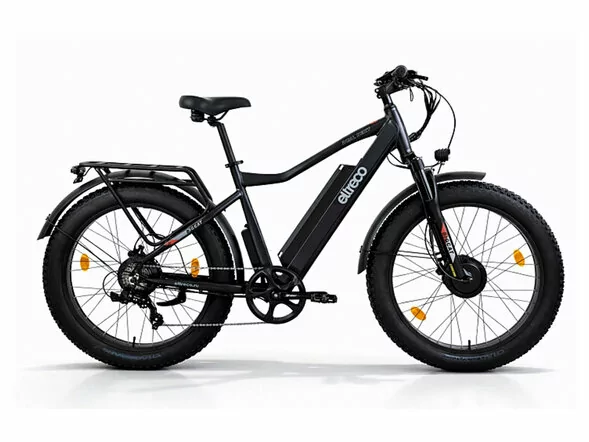 Электровелосипед Eltreco BigCat Dual Next