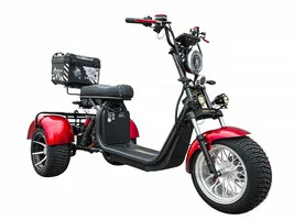 Трехколесный электроскутер CityCoco TRIKE GT-X12 Grand