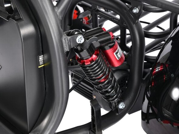 Электротрицикл White Siberia PRO TRIKE 3000W