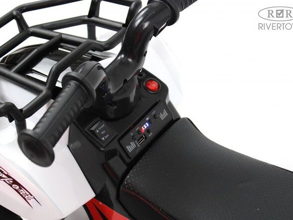 Детский электроквадроцикл L111LL