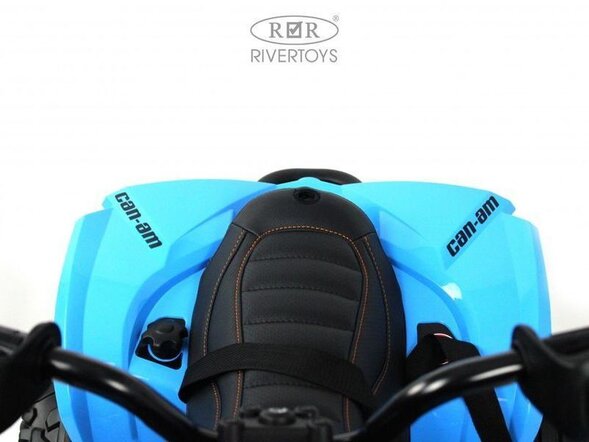 Детский электроквадроцикл BRP Can-Am Renegade (Y333YY) Лицензия