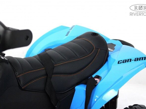 Детский электроквадроцикл BRP Can-Am Renegade (Y333YY) Лицензия