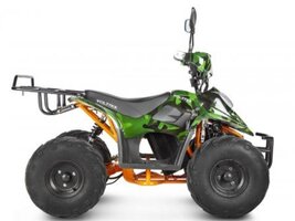 Детский электроквадроцикл Voltrix Hornet 36V800W