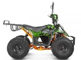 Детский электроквадроцикл Voltrix Hornet 36V800W