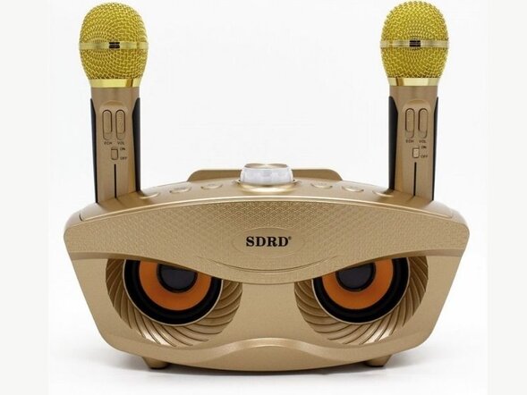 Семейная караоке система на два микрофона SDRD SD-306