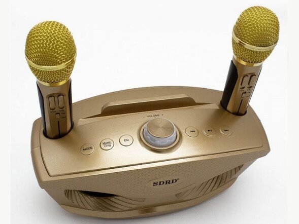 Семейная караоке система на два микрофона SDRD SD-306