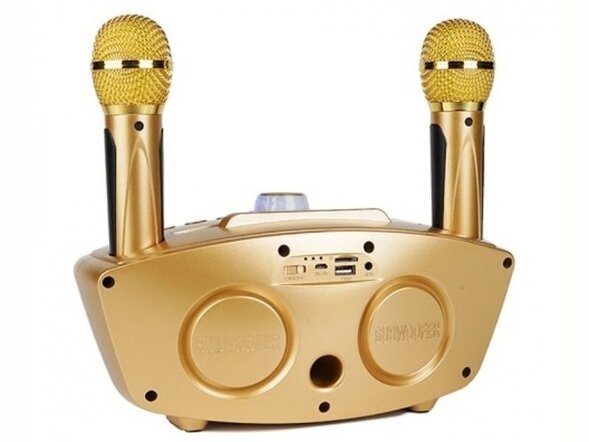 Семейная караоке система на два микрофона SDRD SD-306