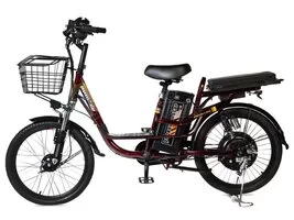 Электровелосипед GT Pegasus Star 13Ah