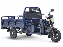 Грузовой электротрицикл Rutrike D4 1800 60V1200W