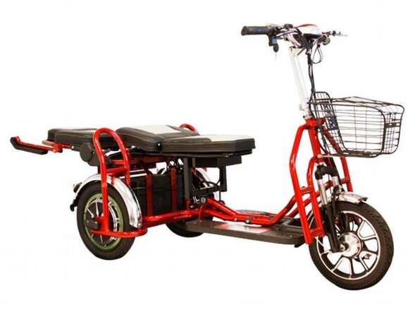 Электротрицикл ELBIKE Адъютант Double Twix (A4) 2x350w48v20a (li-ion)