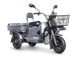 Грузовой электротрицикл Rutrike Баркас 740 60V1000W