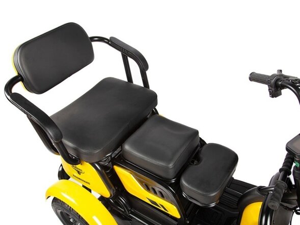 Электротрицикл Rutrike Бумеранг