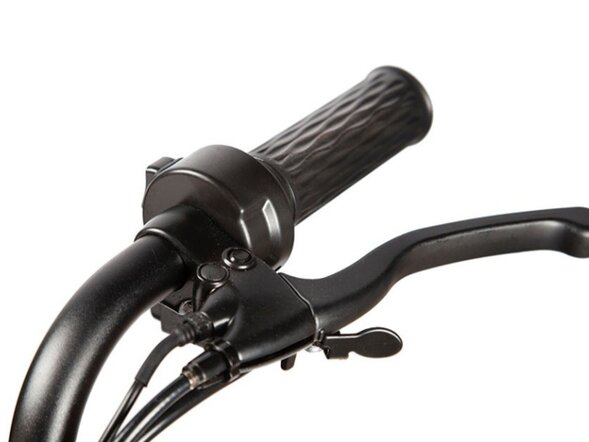 Электротрицикл Rutrike Бумеранг