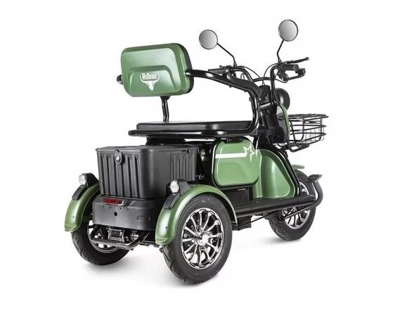 Пассажирский электрический трицикл Rutrike Пилот