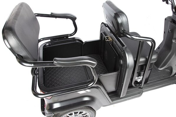 Пассажирский электрический трицикл Rutrike Топик