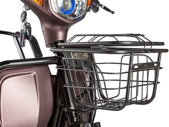 Электротрицикл Rutrike Вагон