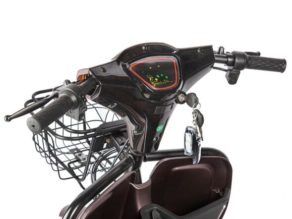 Электротрицикл Rutrike Вагон