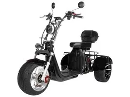 Трехколесный электроскутер CityCoco TRIKE GT-X12 Grand