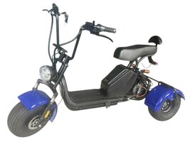 Трехколесный электроскутер GT-X6 Trike